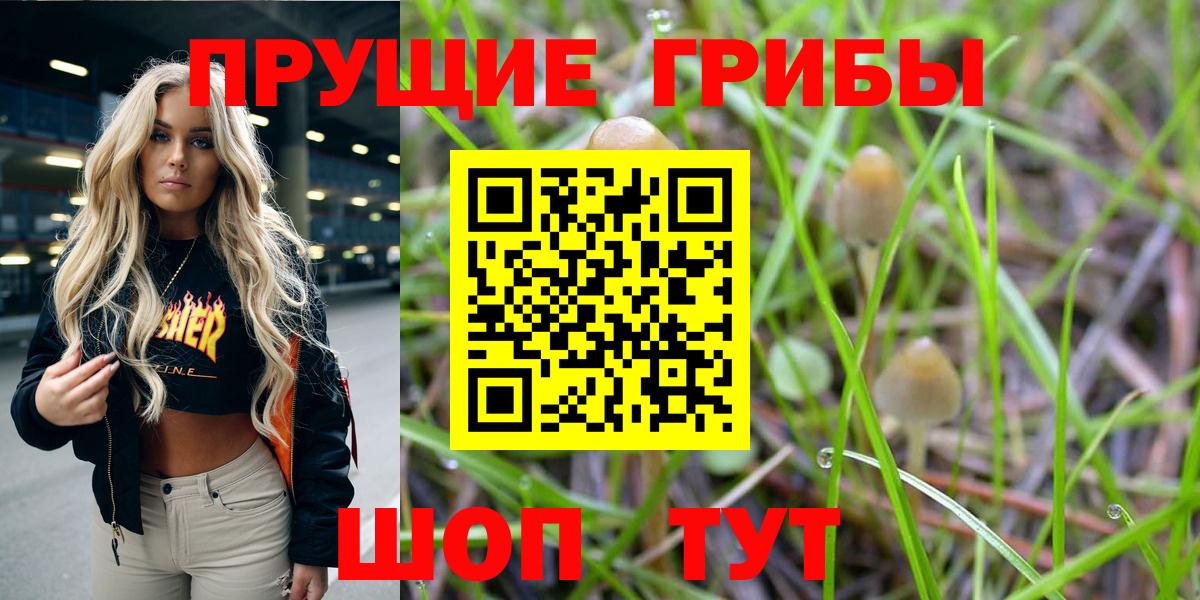 Томск  Галлюциногенные грибы GOLDEN TEACHER  Вход с VPN 