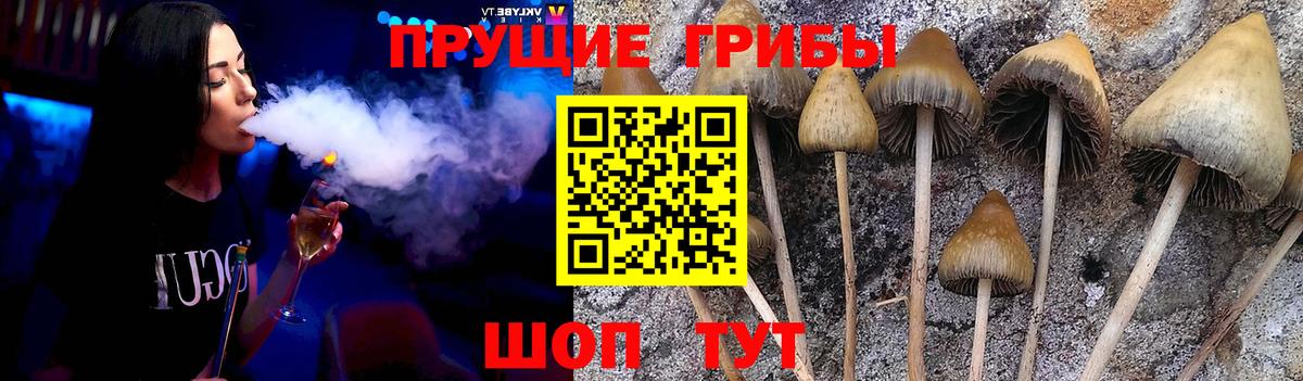 Галлюциногенные грибы Magic Shrooms Томск